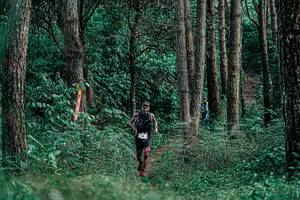 BIB: 
                            <button type="button" onclick="openModal(25235927)" class="btn btn-primary btn-sm float-right btn-popup" data-toggle="modal" data-target=".modal-high-quality">
                        <i class="fas fa-shopping-cart"></i> Add to Cart
                    </button>
                                            <button type="button" onclick="isThisMe(25235927, true)" class="btn btn-success btn-sm float-right btn-popup btn-isme hidden" data-toggle="tooltip" data-placement="bottom" title="นี่คือรูปของคุณใช่ไหม คลิกที่นี่เพื่อเอาเข้าอัลบั้ม">
                        <i class="fas fa-plus"></i> Add to album
                    </button>
                    <button type="button" onclick="isThisMe(25235927, false)" class="btn btn-warning btn-sm float-right btn-popup btn-isnotme hidden">
                        <i class="fas fa-ban"></i> Remove from album
                    </button>